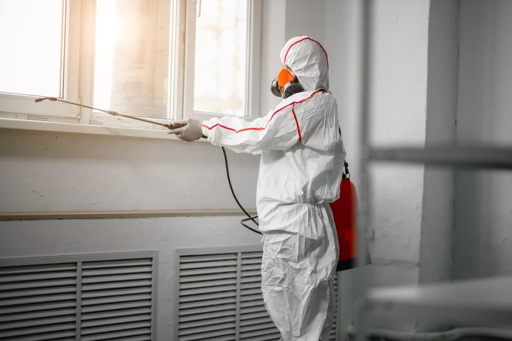 Professional mold remediation services in Plain Dealing, LA